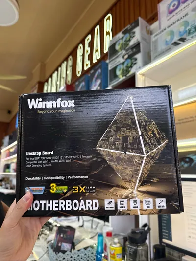 Main H81 Winfox