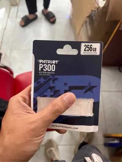 Ổ Cứng SSD Patriot P300 256GB - NVME Gen 3